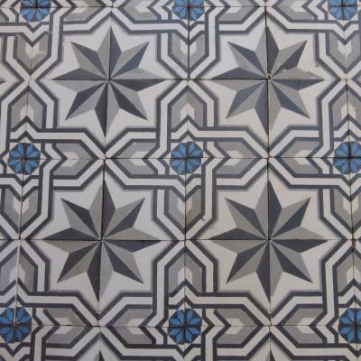 c.23m2 / 246 sq ft antique Belgian ceramic in a cool palette 