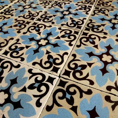 17.25m2 / 185 sq ft triple border Boch Freres ceramic encaustic floor c.1910